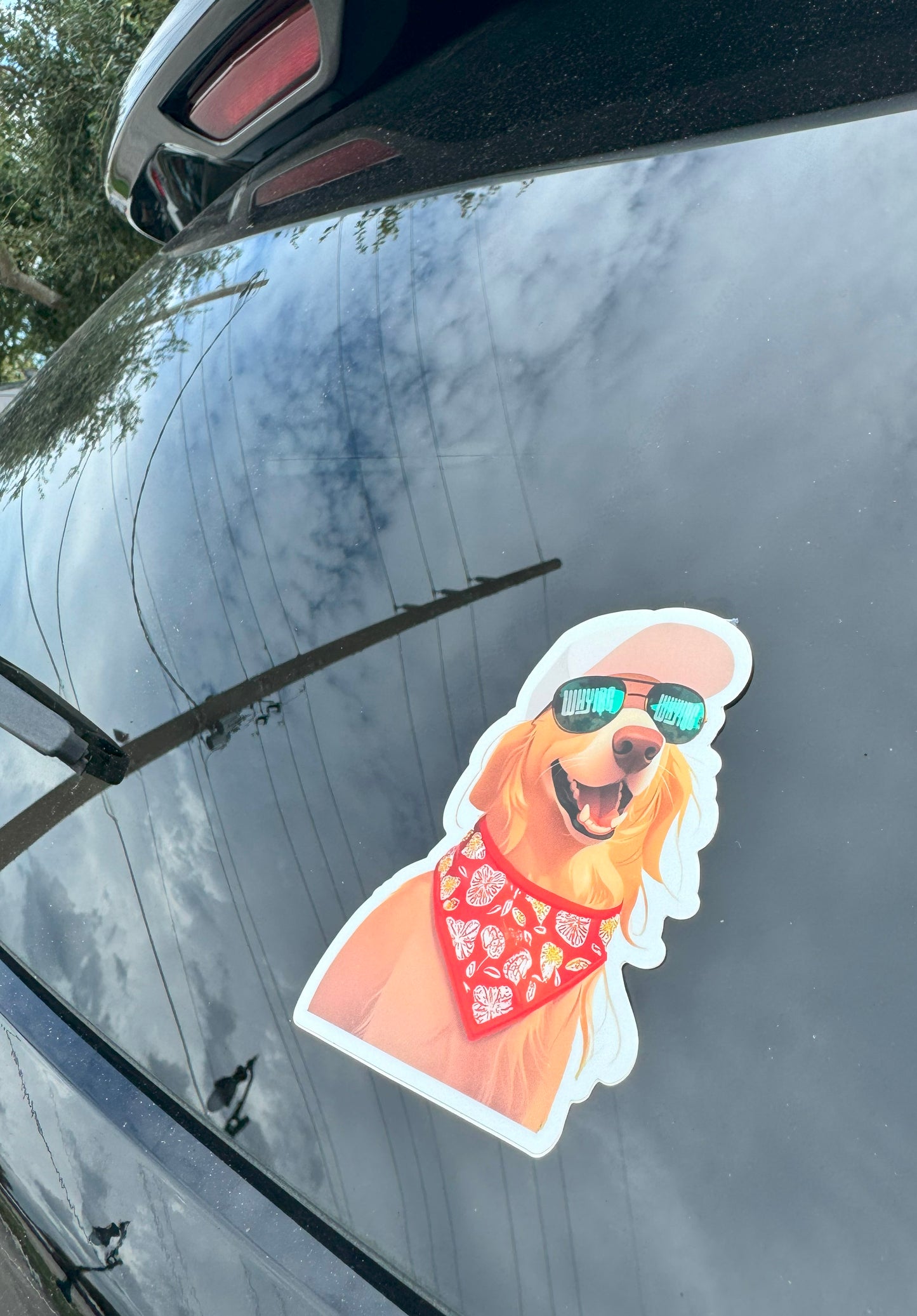 Cool Calvin: Golden Retriever Sticker