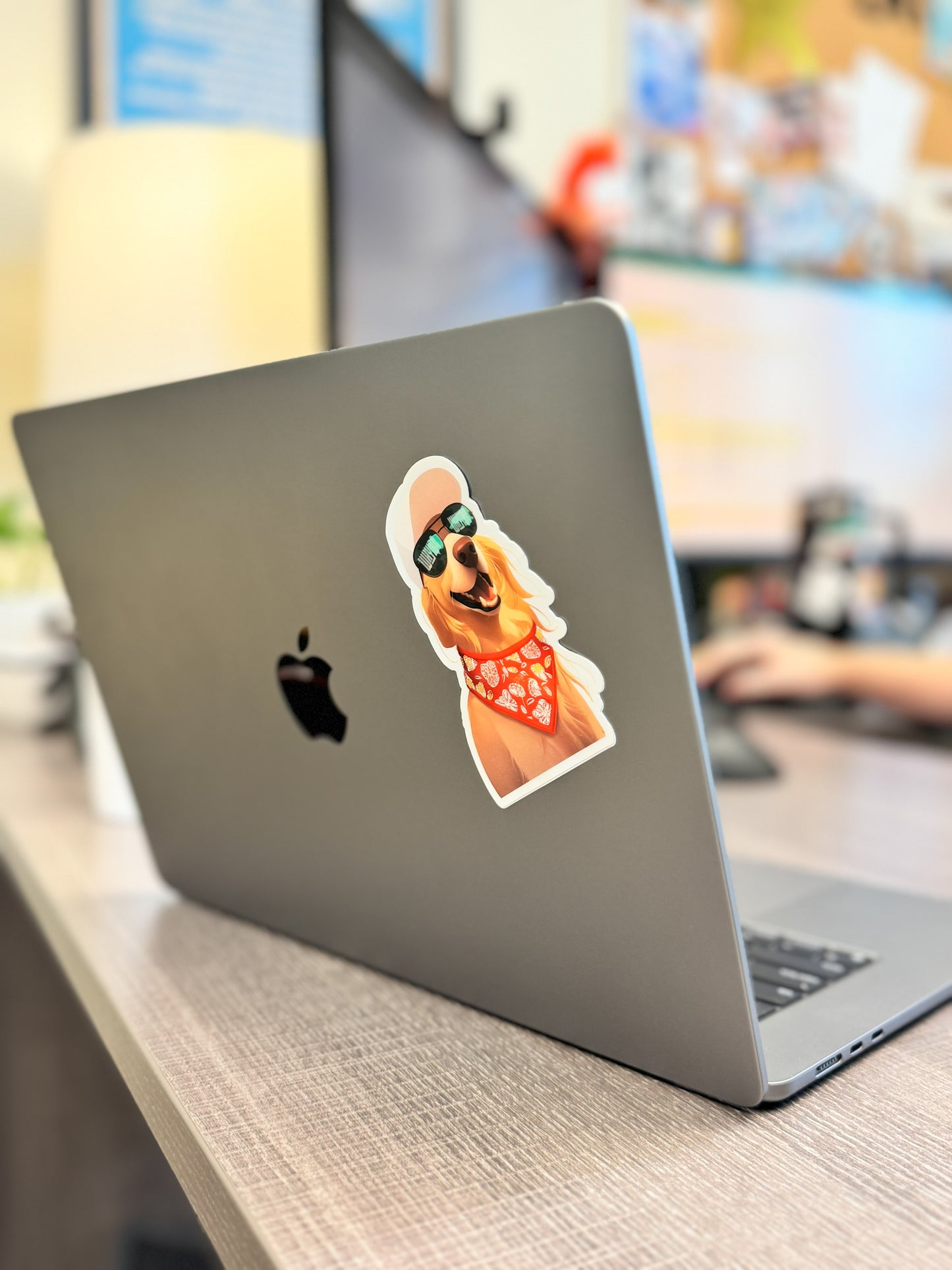 Cool Calvin: Golden Retriever Sticker
